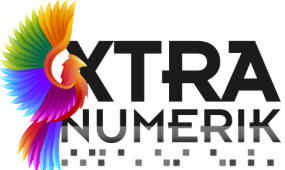 PUBLICITÉ XTRANUMERIK INC.